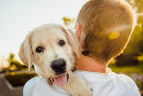 Picture for category Stuff for my new BFF!